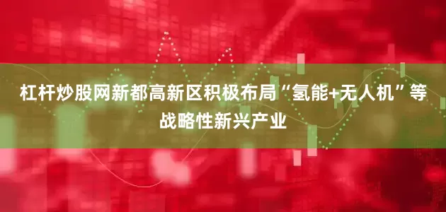 杠杆炒股网新都高新区积极布局“氢能+无人机”等战略性新兴产业