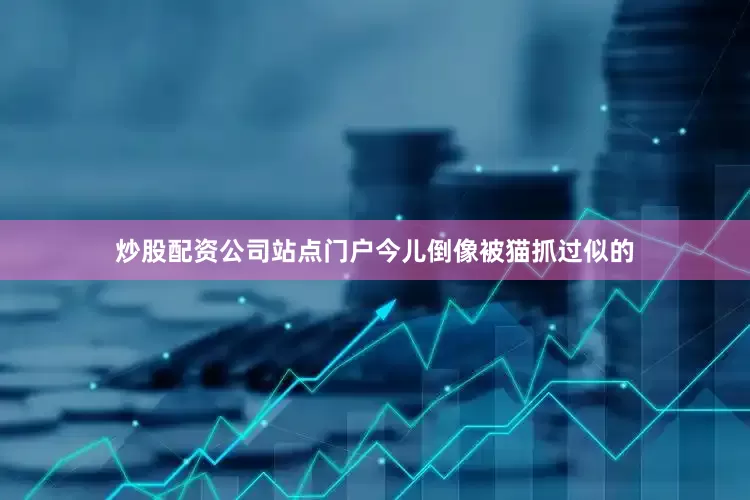炒股配资公司站点门户今儿倒像被猫抓过似的